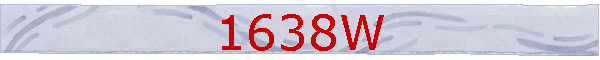 1638W